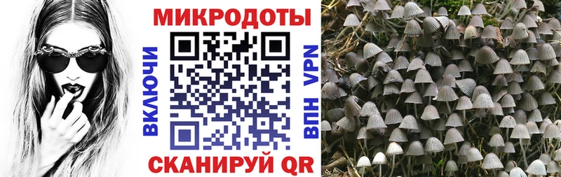 Псилоцибиновые грибы GOLDEN TEACHER Венёв